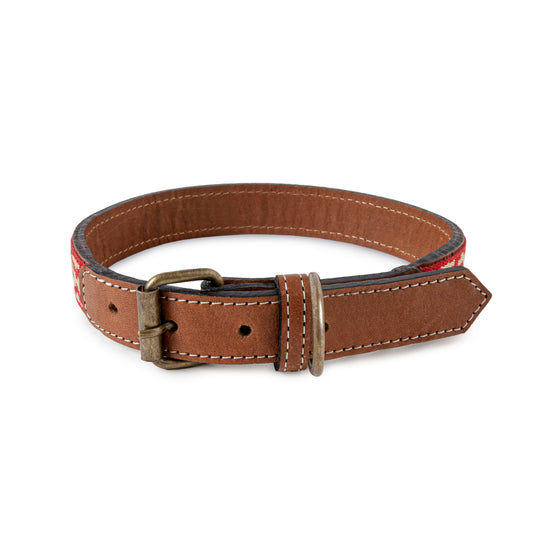 Guarda pampa dog collar